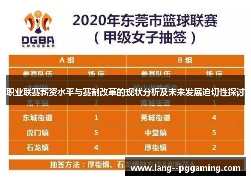 职业联赛薪资水平与赛制改革的现状分析及未来发展迫切性探讨