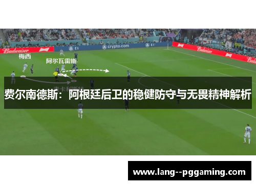 费尔南德斯：阿根廷后卫的稳健防守与无畏精神解析