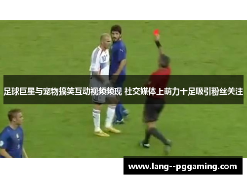 足球巨星与宠物搞笑互动视频频现 社交媒体上萌力十足吸引粉丝关注