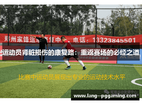 运动员肾脏损伤的康复路:重返赛场的必经之道 运动员肾脏损伤的康复路:重返赛场的必经之道