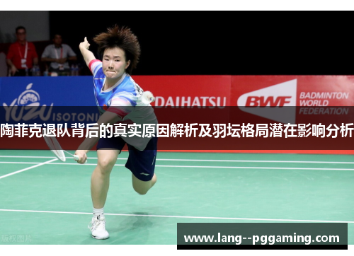 陶菲克退队背后的真实原因解析及羽坛格局潜在影响分析